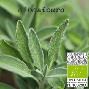 Salvia Bio CiboSicuro