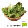 Lattuga Mix Bio fresca in ciotola