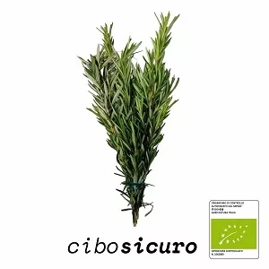 rosmarino bio