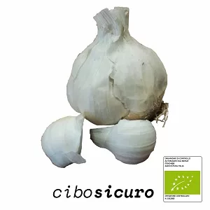 Aglio Bio secco in testa con spicchi visibili, 100g