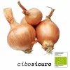 cipolla dorata bio campania biologica