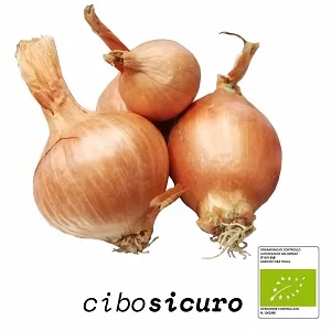 cipolla dorata bio campania biologica