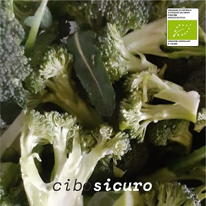 Broccoli baresi selezionati Negozio Biologico NApoli