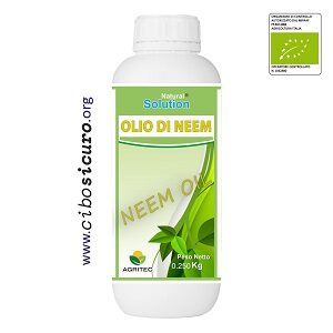 Olio di Neem proprietà cibo sicuro