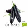 melanzana lunga nera biologica