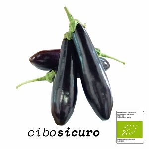 melanzana lunga nera biologica