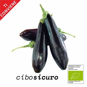 Melanzana Lunga Bio (1kg)