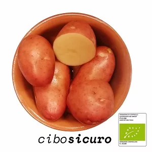 patata rossa biologica italiana