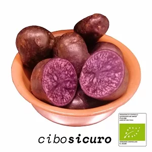 patata viola biologica napoli
