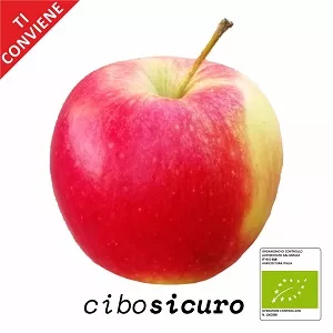 frutta biologica italiana mela gala bio
