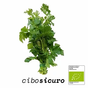 sedano bio mazzetto