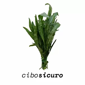 rucola punte lunghe bio napoli