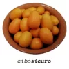 Kumquat mandarini baby