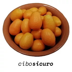 Kumquat mandarini baby