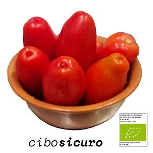 pomodori san marzano Bio biologici
