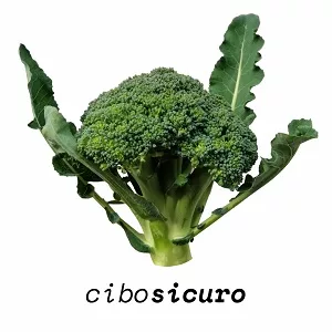 broccolo barese compra a napoli