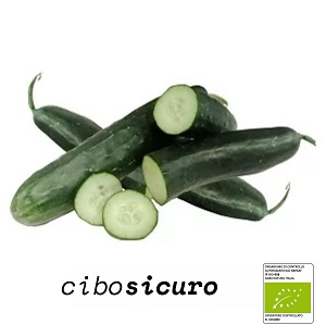 Cetrioli Bio freschi interi e a fette, 500g