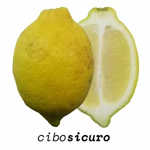 limone biologico sorrento