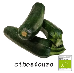 zucchine bio online