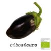 melanzana tonda nera bio biologica verdura frattamaggiore
