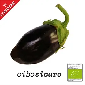 melanzana tonda bio nera in offerta online