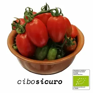 Pomodori Piccadilly Rossi Bio freschi in una ciotola di terracotta