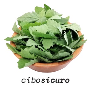 Erba spontanea Spinacino selvatico (100g)