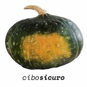 zucca delica prodotto fresco in padella