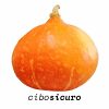 zucca hokkaido pianta giapponese ideale per ricette