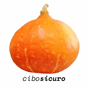zucca hokkaido pianta giapponese ideale per ricette