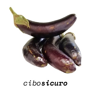 Melanzana Lunga Cima Viola (1kg)