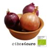 cipolle miste biologiche