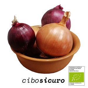 cipolle miste biologiche