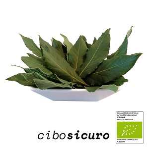Alloro biologico fresco in foglie verdi, confezione da 30g