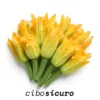 Fiori di Zucca (10pz) — VERDURE DI STAGIONE